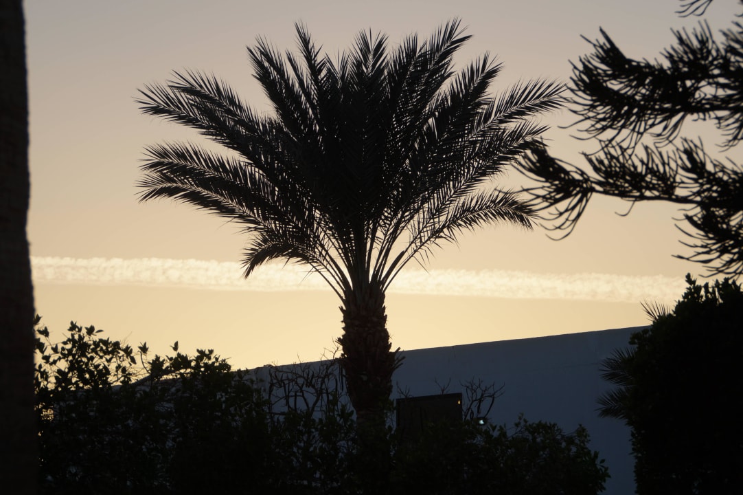 Sonnenuntergang Ghazala Beach
