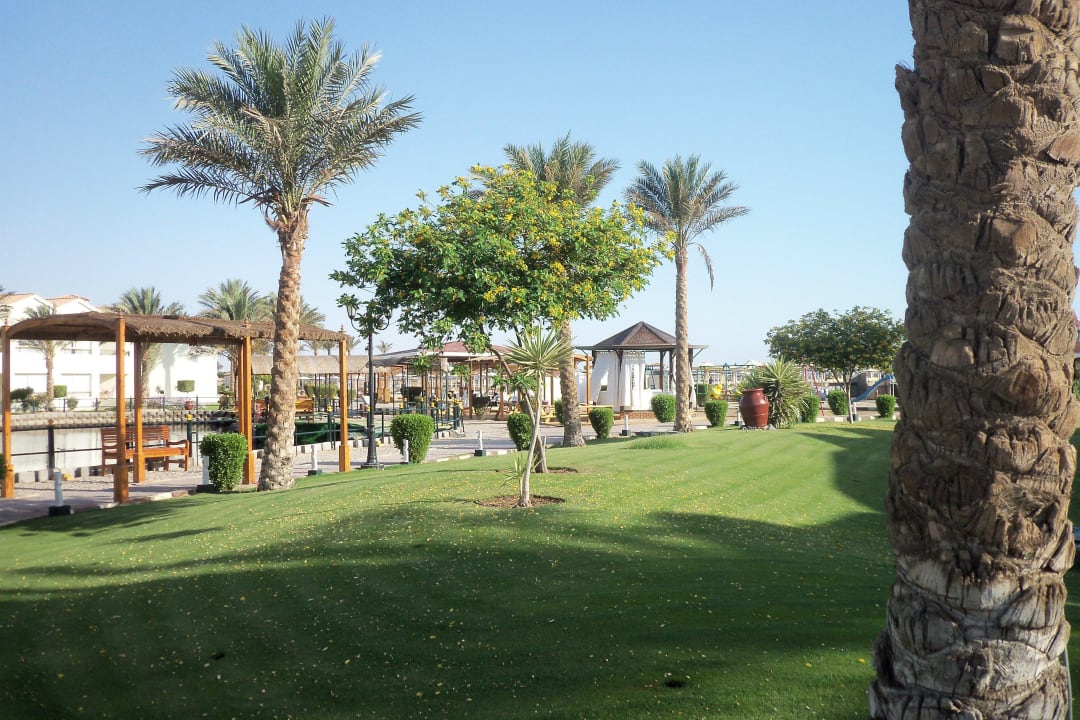 Top gepflegt wie überall in der Anlage Pickalbatros Dana Beach Resort - Hurghada