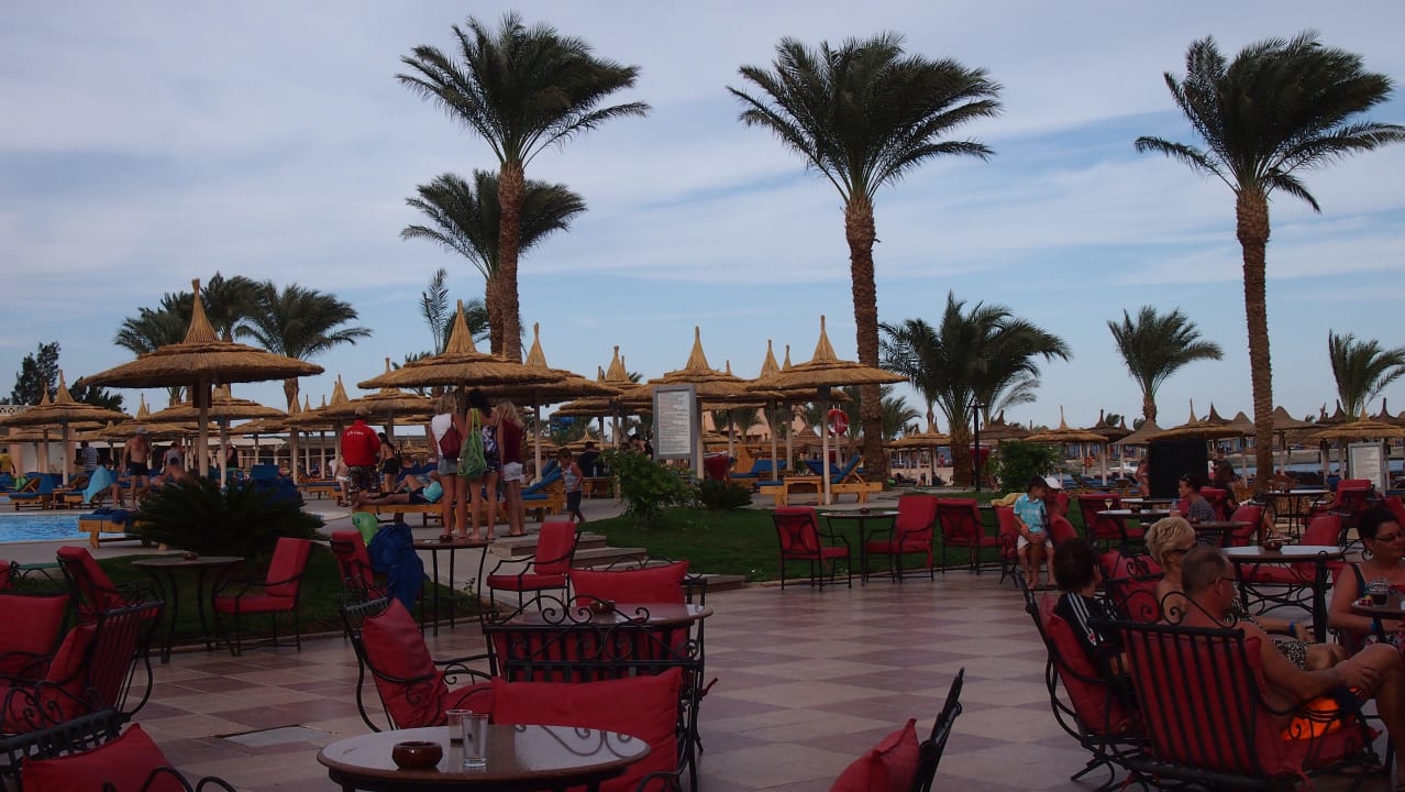 Our bar Beach Albatros Resort