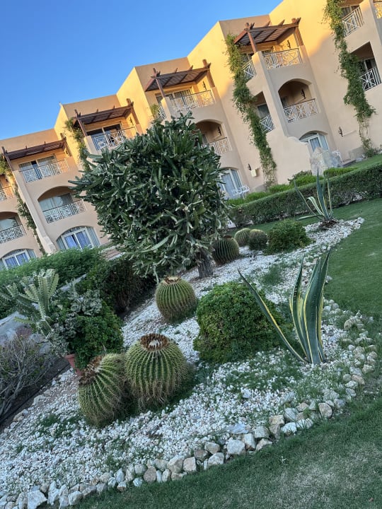 Gartenanlage Prima Life Makadi Resort