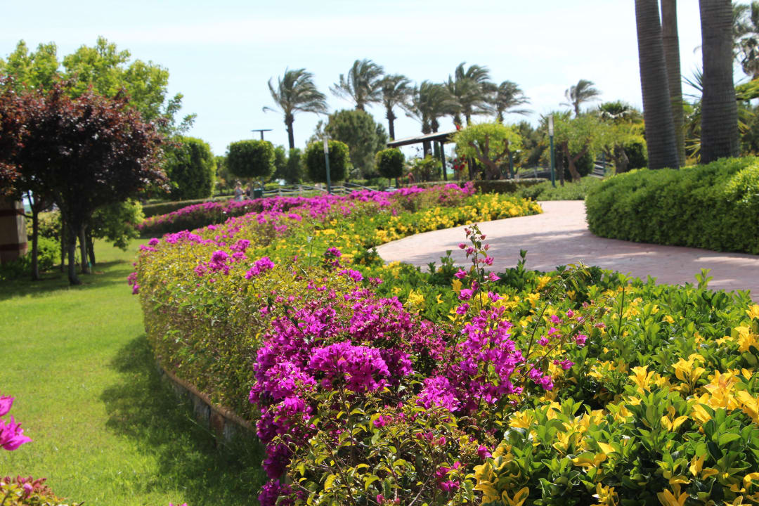 Schöne Blumen Hotel Miracle Resort
