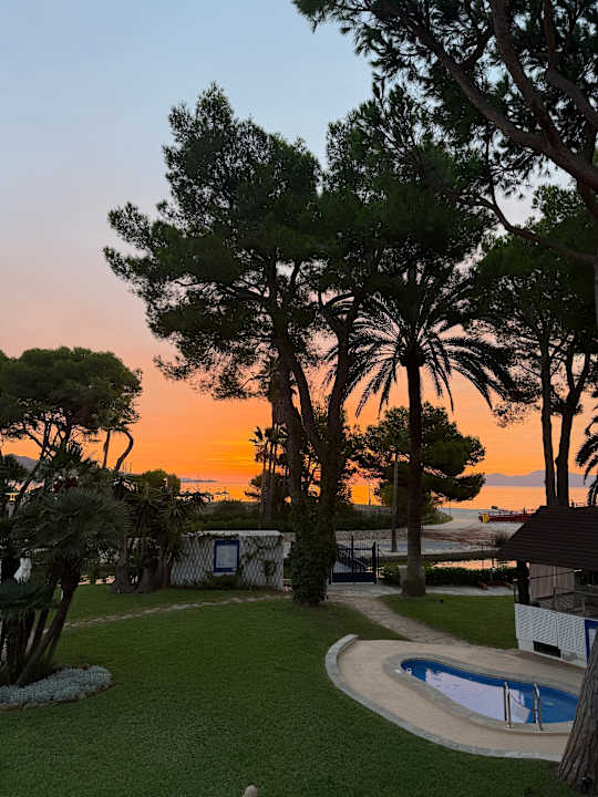 Ausblick allsun App.-Hotel Orquidea Playa