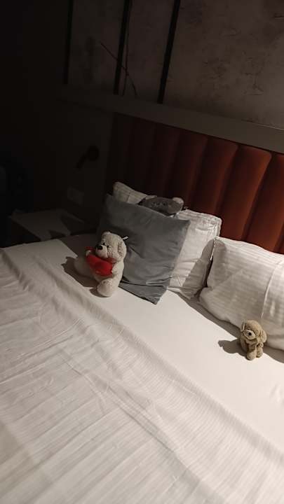 Zimmer Seaden Sea Planet Resort & Spa