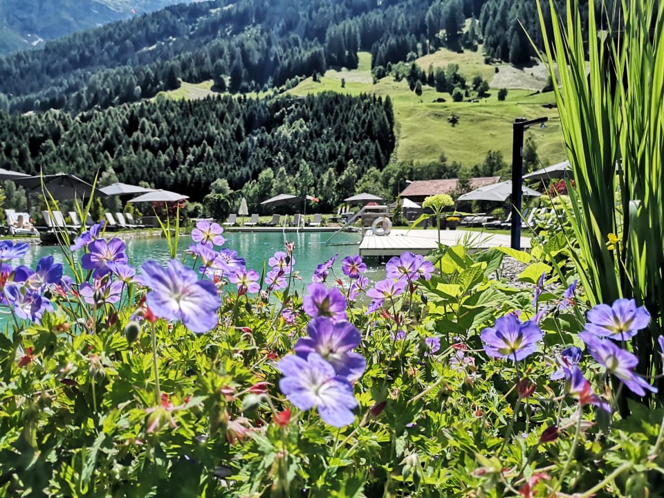 Pool Alpeiner Nature Resort Tirol