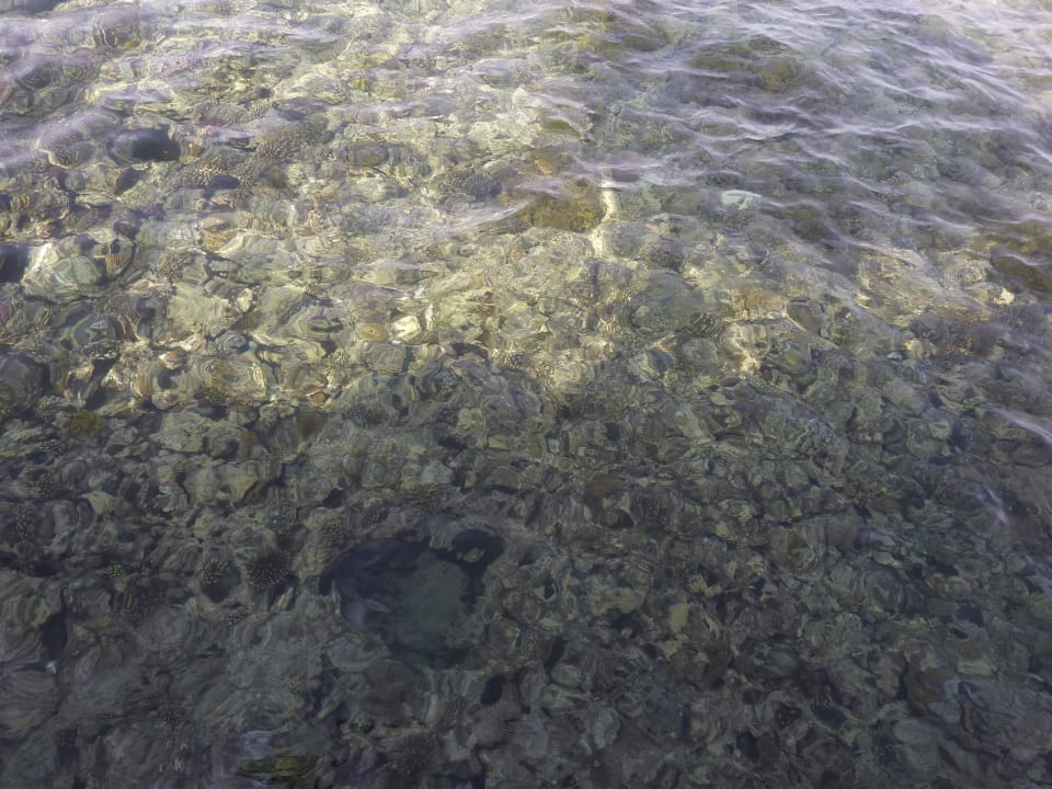 Riff Stella Beach Resort & Spa Makadi Bay