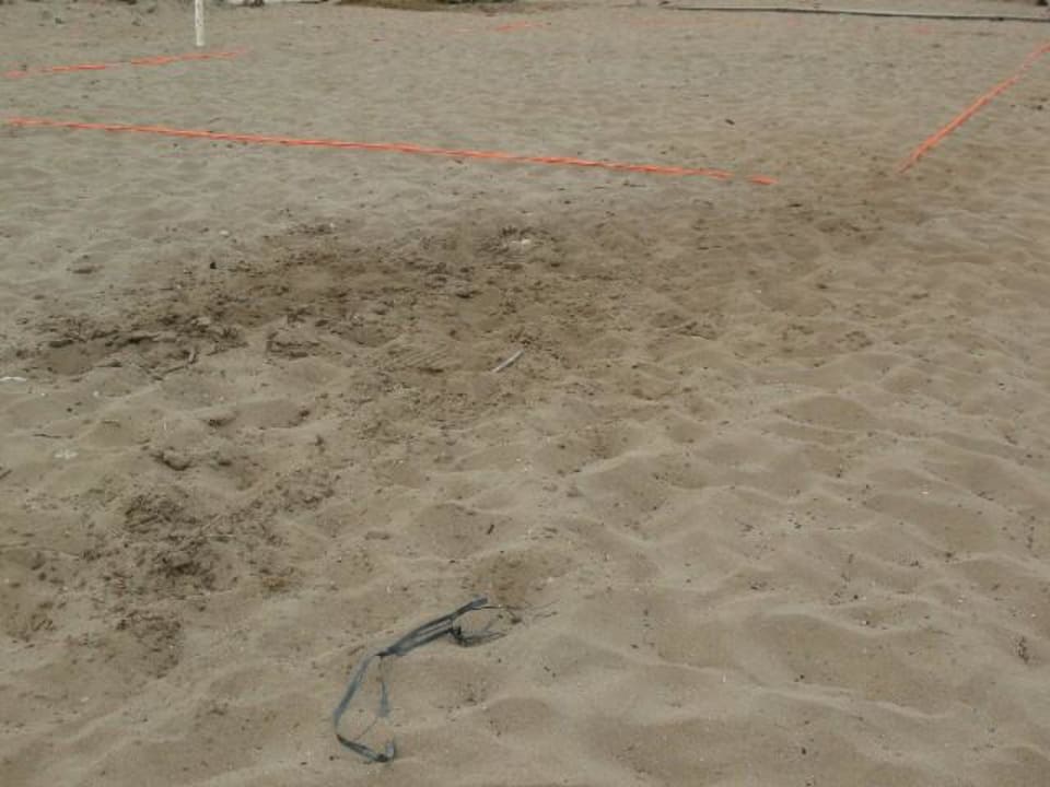 Strand am Hotel Sandy Beach Resort