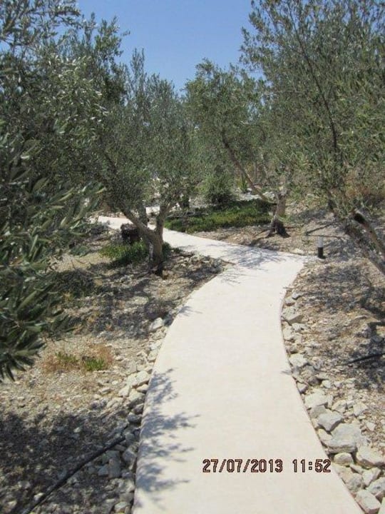 1 Niriida Guesthouse