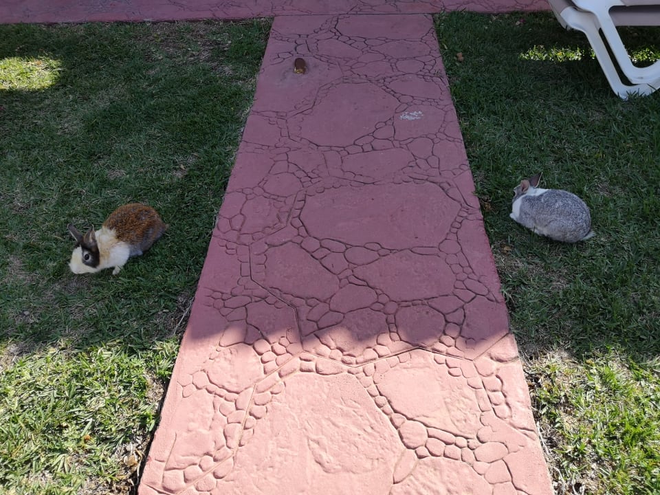 Sonstiges HL Miraflor Suites Hotel