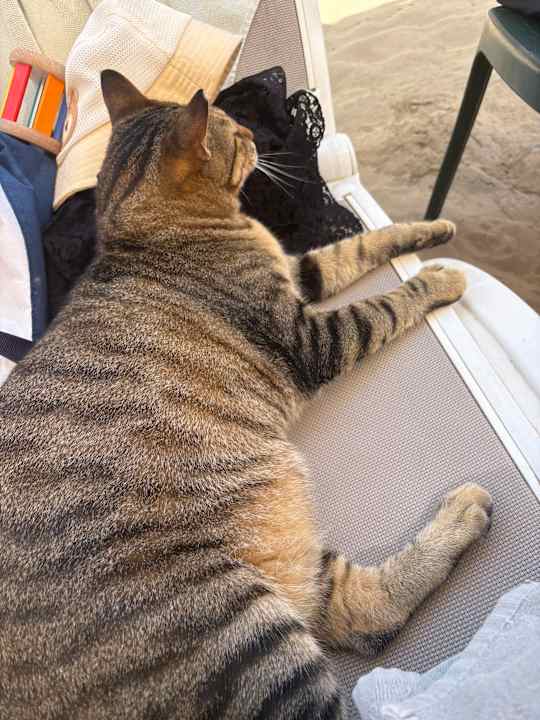 Strand Castival Hotel