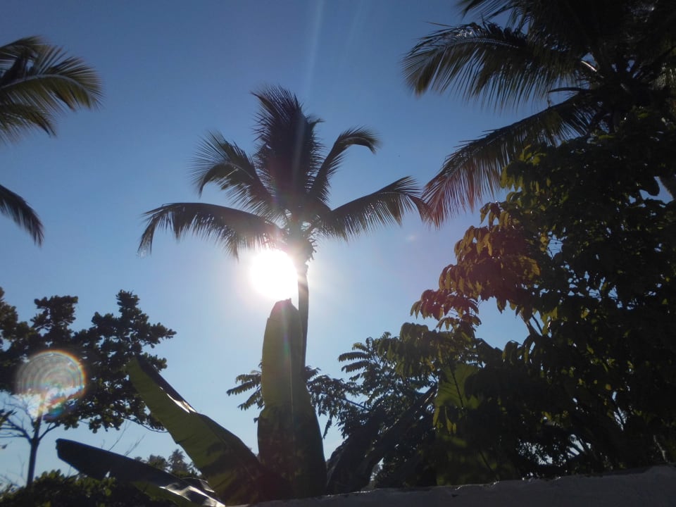 Ausblick Ozeanic Caribbean Hotel Apartment
