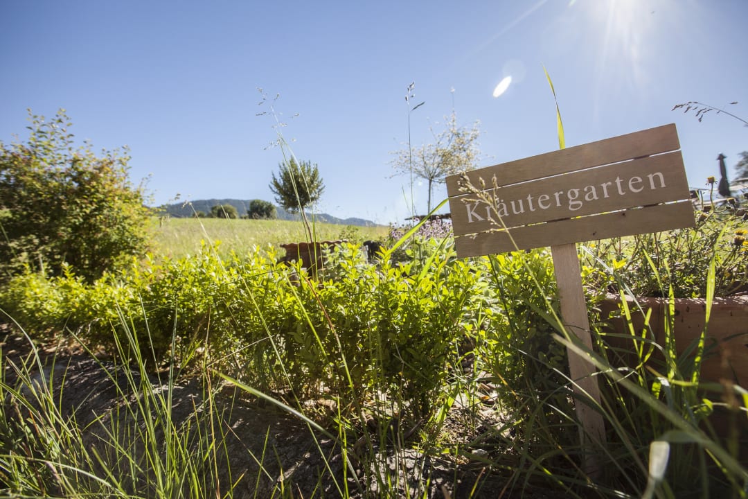 Gartenanlage Hotel FrohNatur