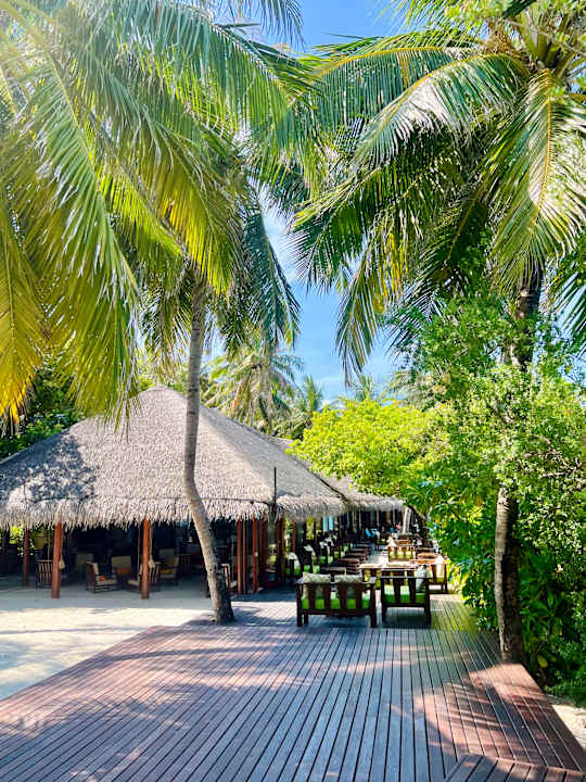 Gastro Summer Island Maldives