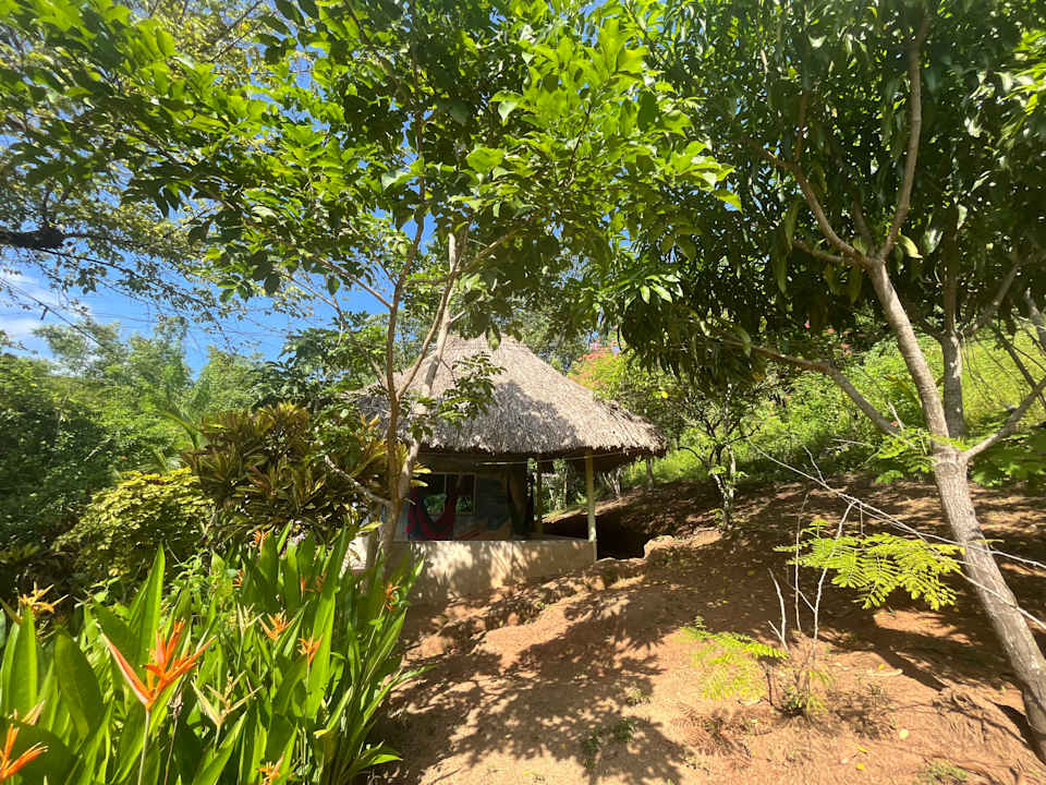Gartenanlage Hostal Recuerdos del Tayrona