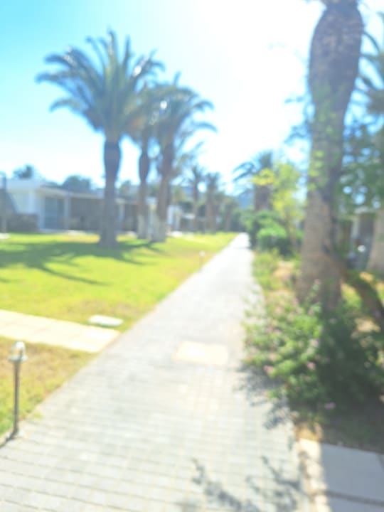 Gartenanlage Civitel Creta Beach