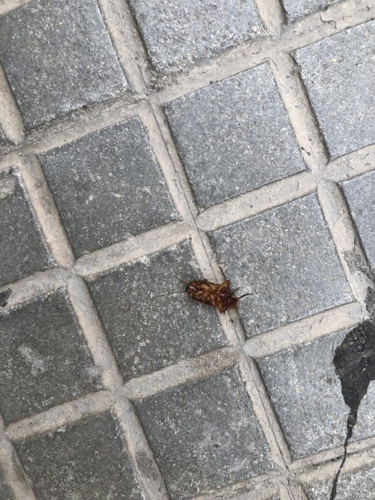 Außenansicht Ahoi! Urban Beach Hotel