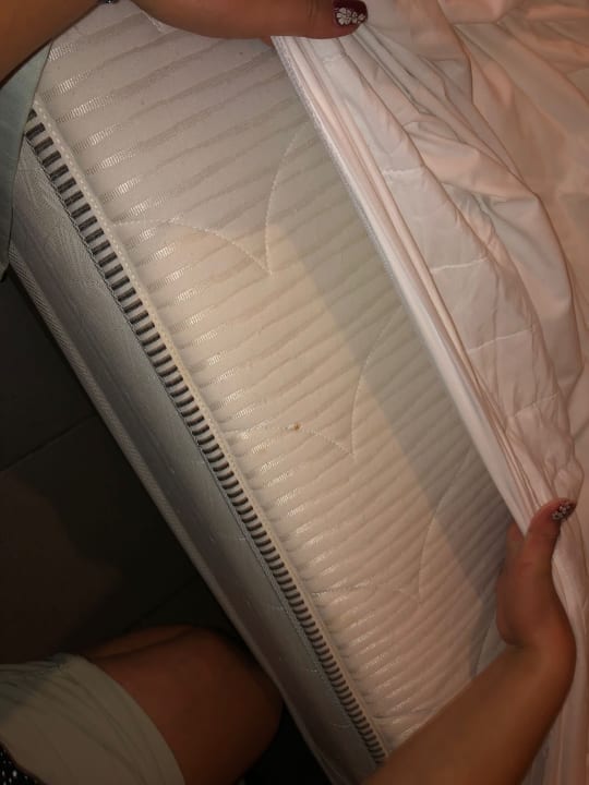 Zimmer Oasis Scaleta Hotel