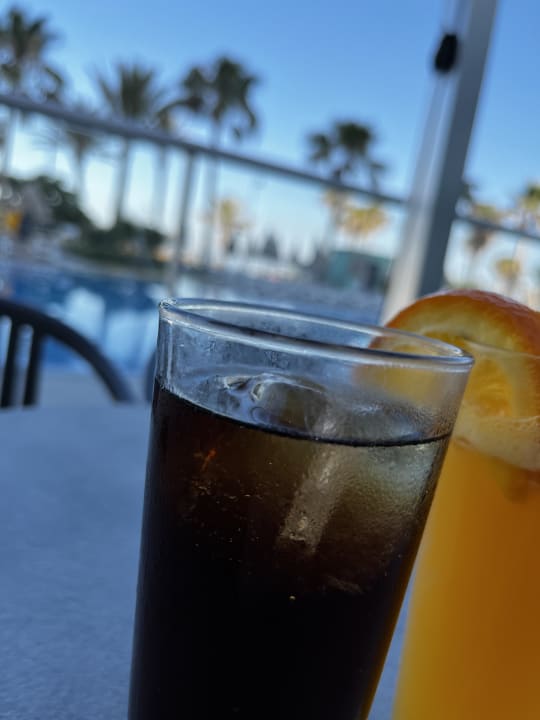 Gastro Hotel Riu Costa del Sol