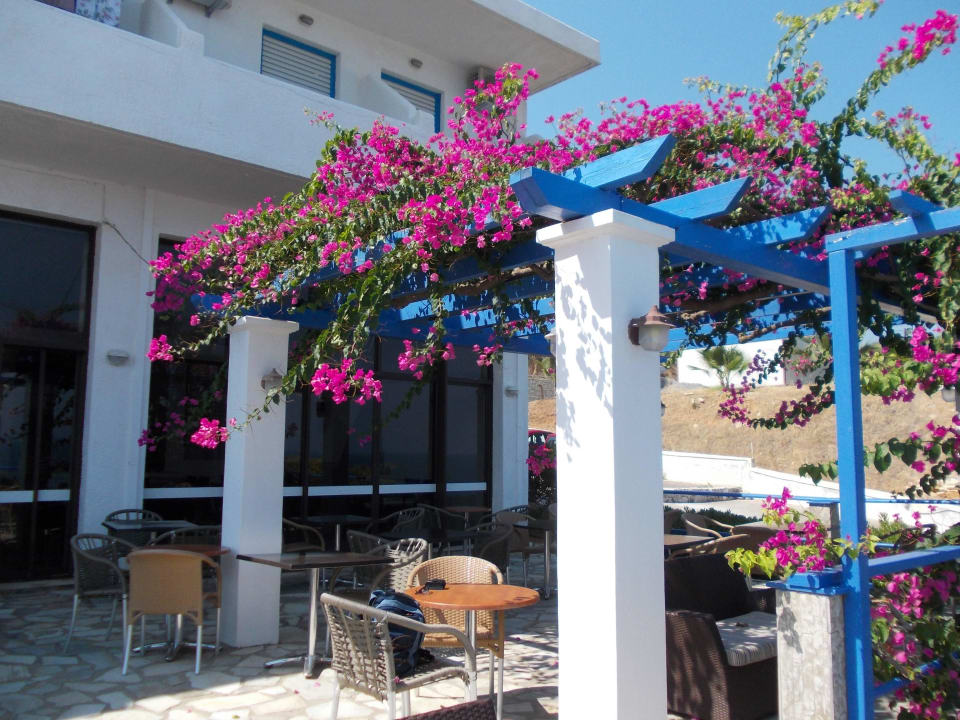 Terrasse Hotel Stella Beach