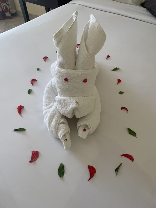 Zimmer Casa Mare Resort