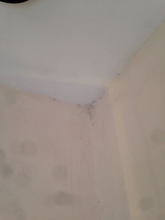 Schimmel und Wasserflecken Hotel Hanoi Moment 2