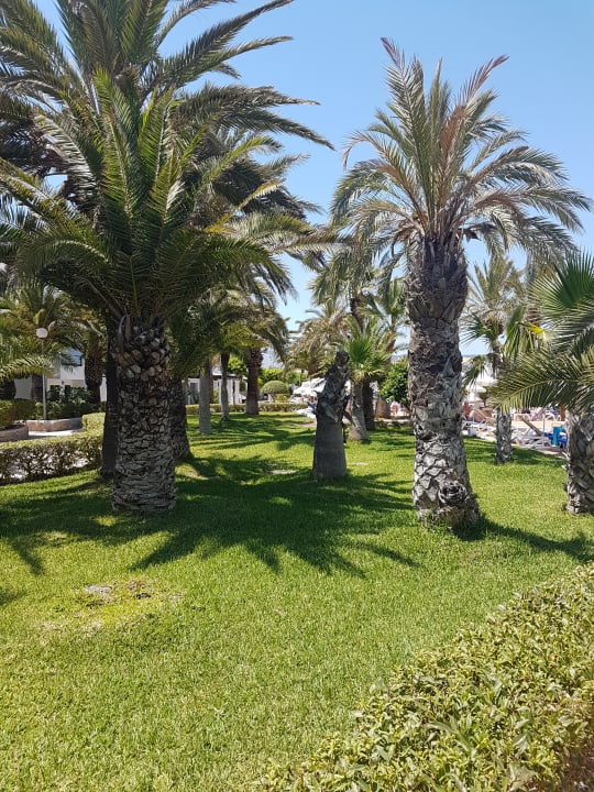 Gartenanlage FERGUS Style Bahamas