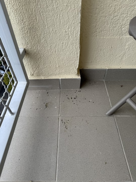 Zimmer Danubius Hotel Marina