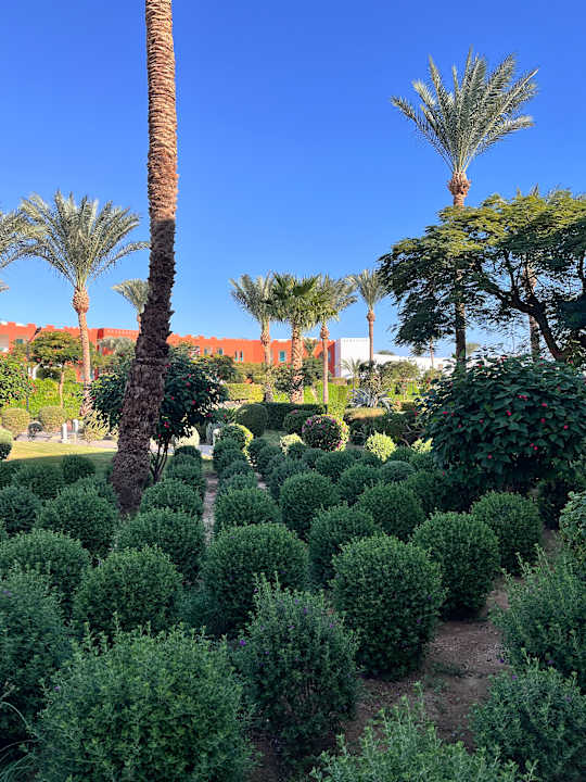 Gartenanlage Pickalbatros Dana Beach Resort - Hurghada