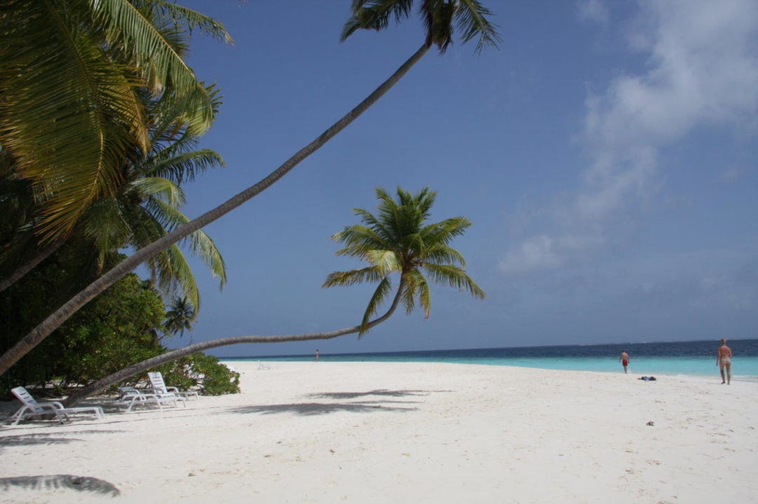 Strand Fihalhohi Maldives