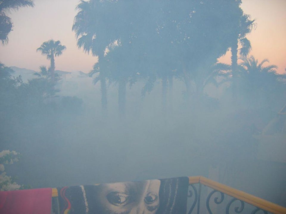 Beisender Qualm Lotus Bay Beach Resort