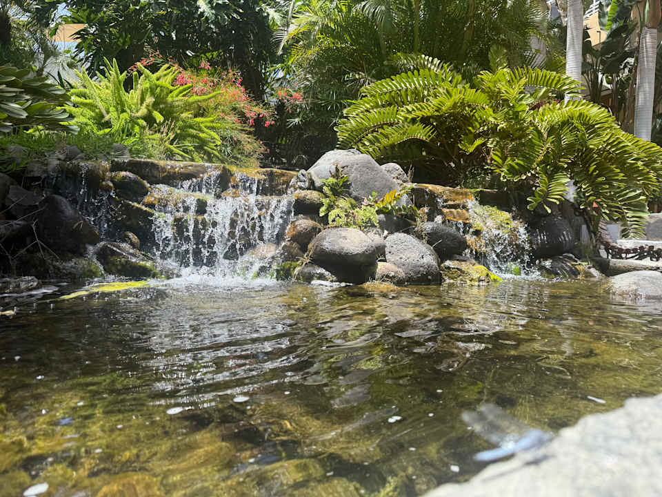 Gartenanlage allsun Hotel Lucana