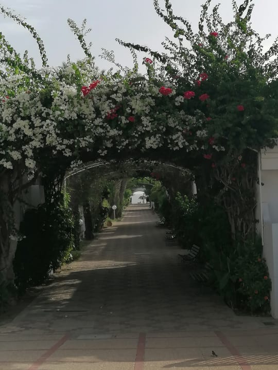 Gartenanlage El Mouradi Club Kantaoui