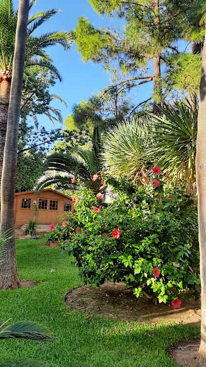 Außenansicht Valentin Reina Paguera