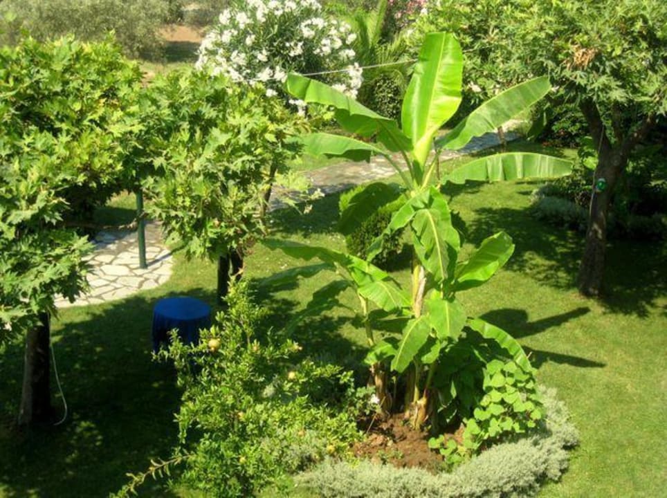 Garten Haus des Gartens / Pension Nikos