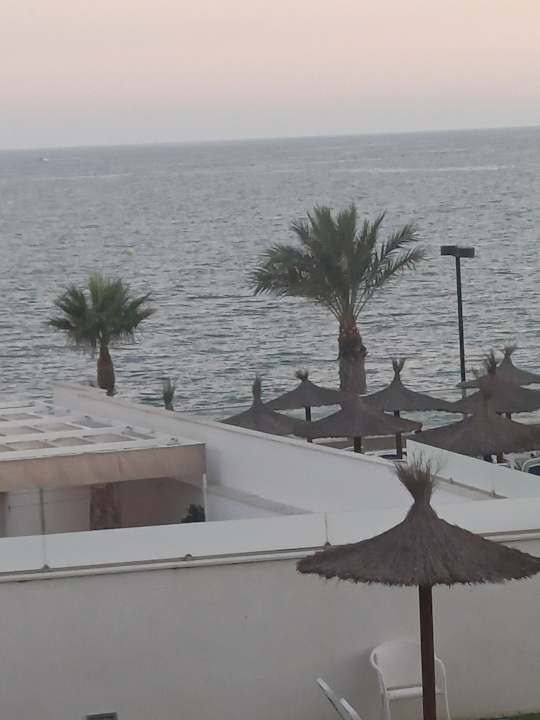 Zimmer Globales Gardenia