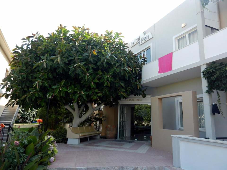 Hotel Peli Hotel Peli