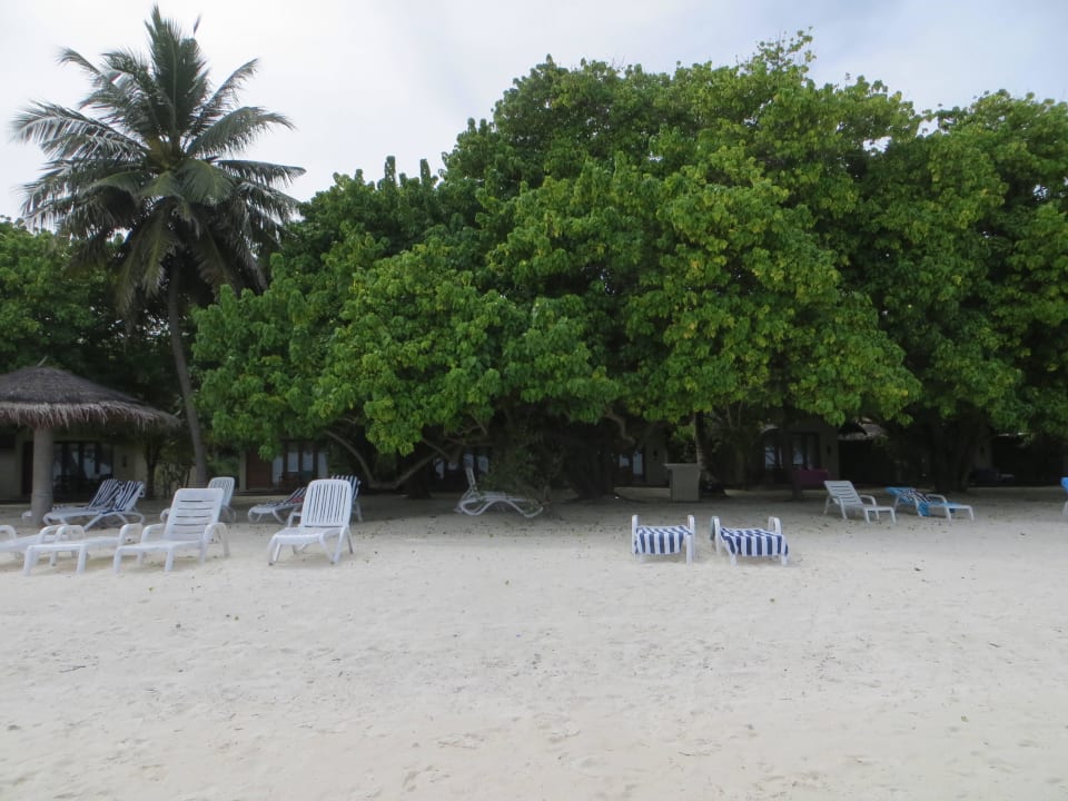 Spaziergang am Strand und den Beachvillen Adaaran Select Hudhuran Fushi - Premium All Inclusive