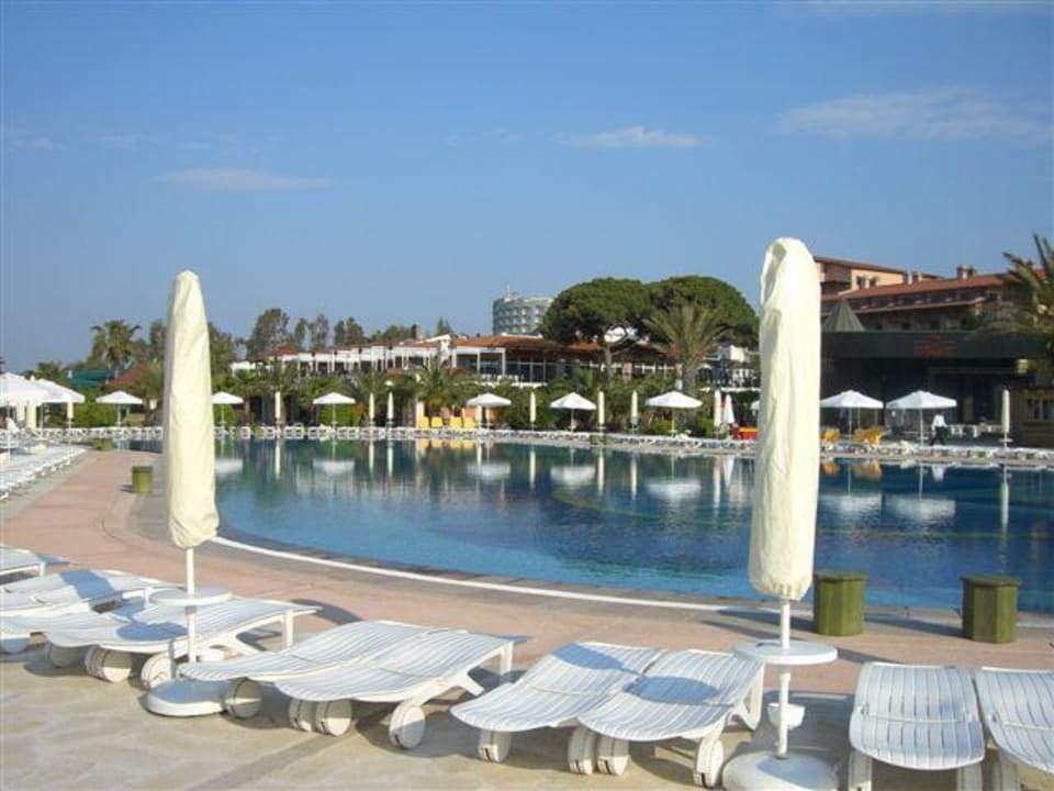 Pool Papillon Belvil