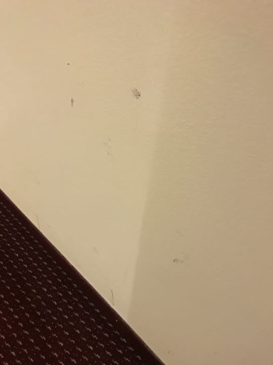 Zimmer Botanique Hotel Prague