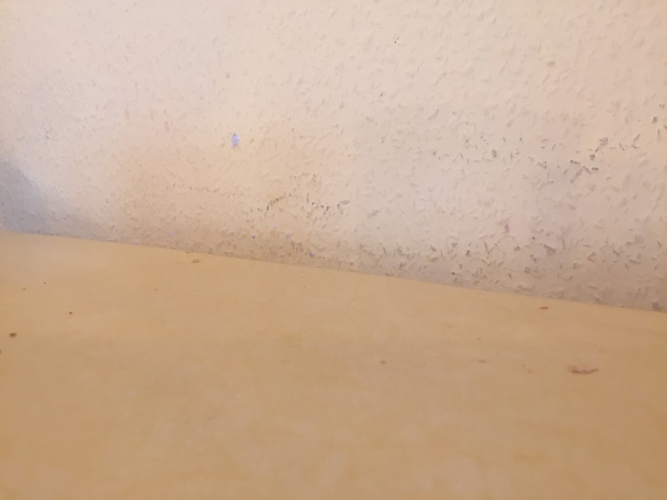 Gastro Zum Harzer Jodlermeister