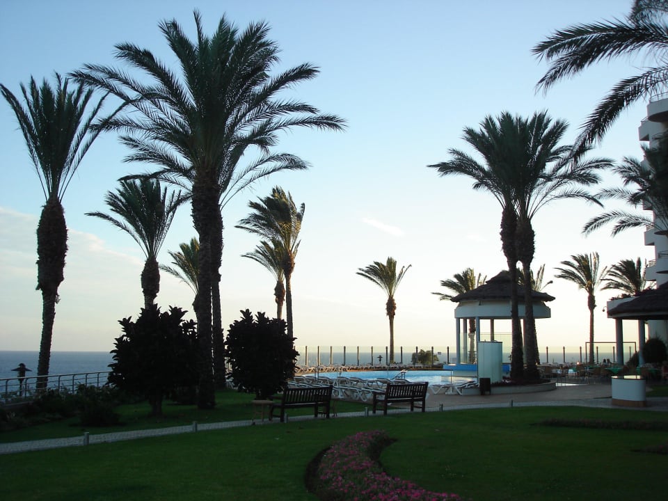 Pool mit Salzwasser gefüllt, sehr sauber Pestana Grand Ocean Resort