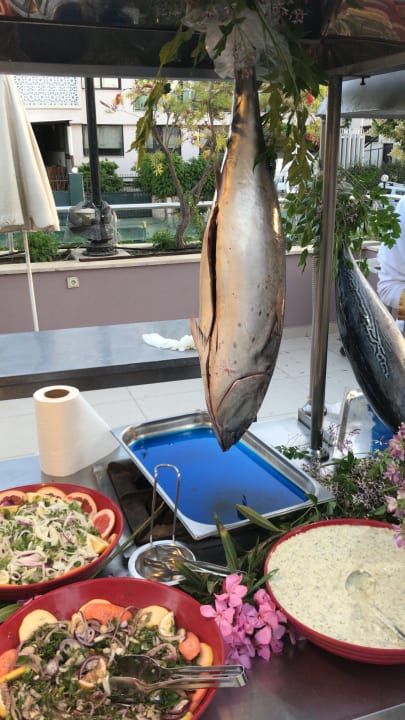 Gastro Telatiye Resort