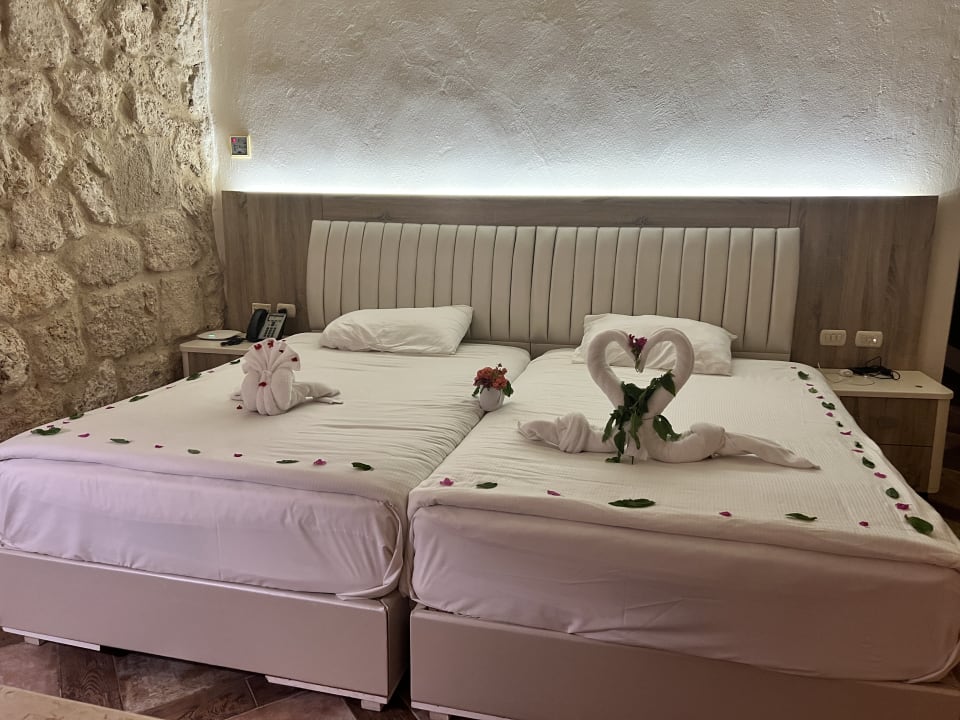 Zimmer Pickalbatros Citadel Resort