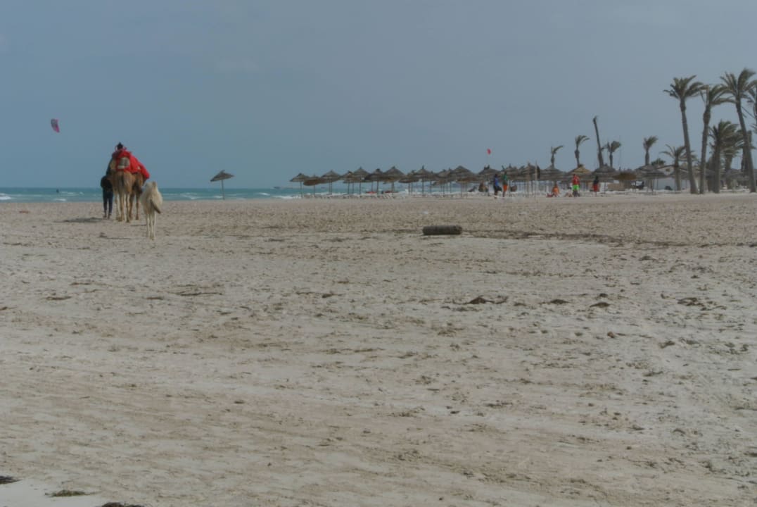 Hotel-Strand ROBINSON DJERBA BAHIYA