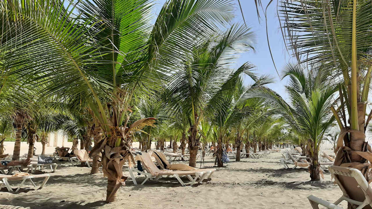 Strand Hotel Riu Karamboa