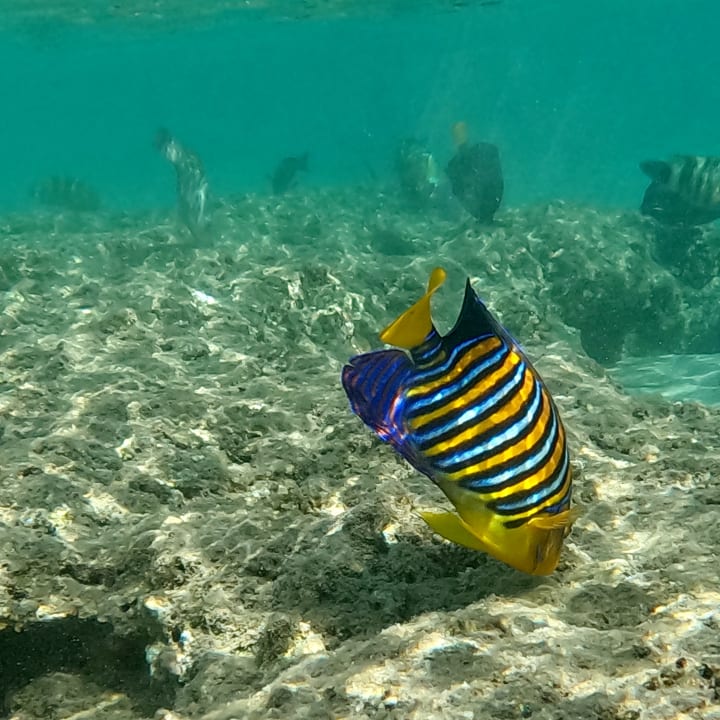 Strand Brayka Bay Resort