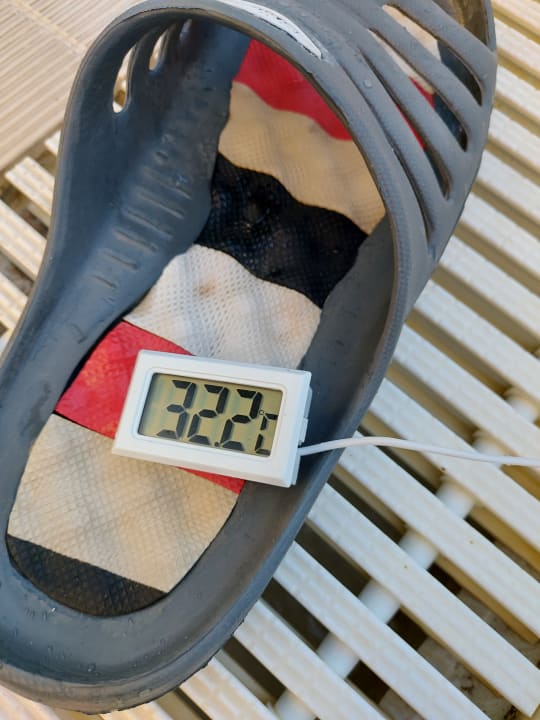 Pool Hane Family Resort