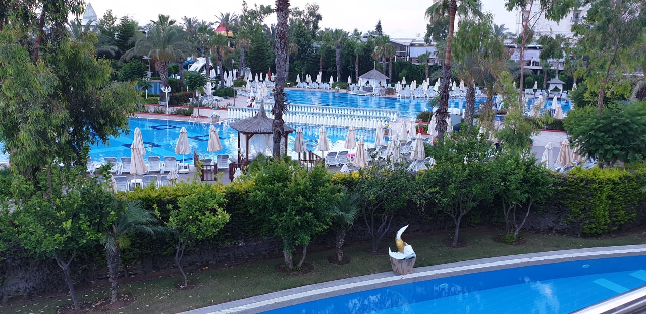 Pool Hotel Delphin Imperial