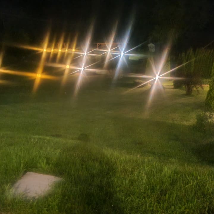 Gartenanlage Parkhotel Waldlust