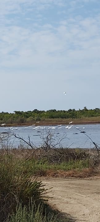 Außenansicht Sandy Beach Resort
