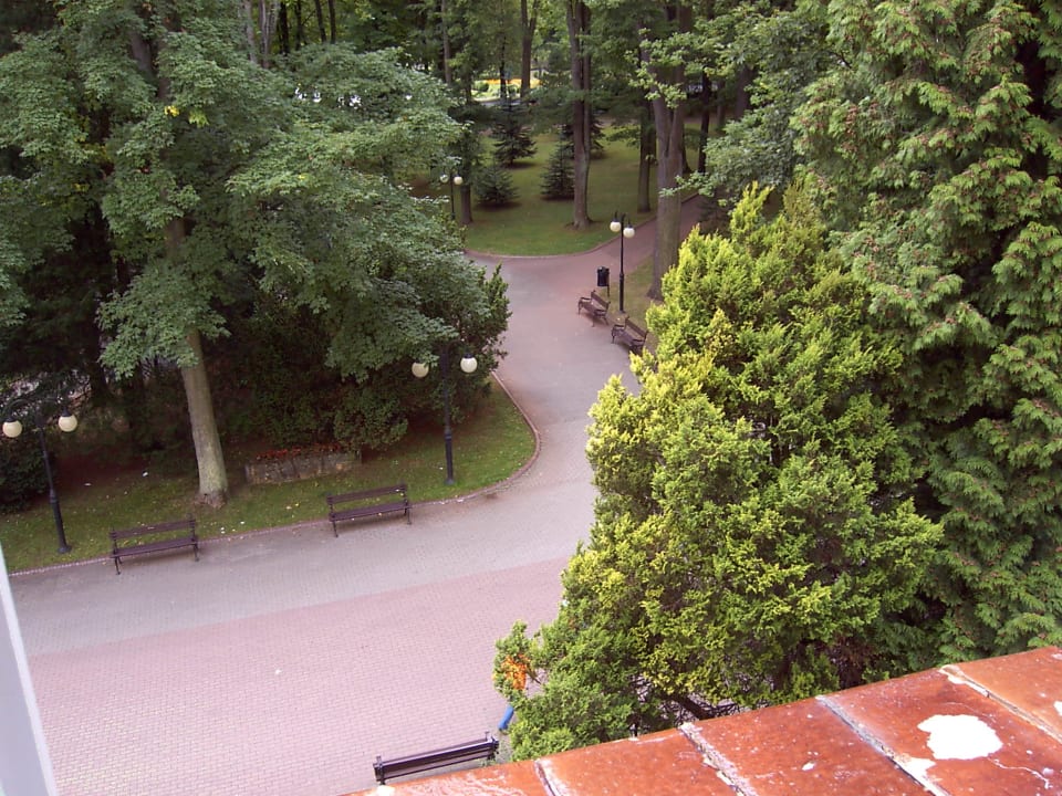 Fensterblick Kurhotel Wielka Pieniawa